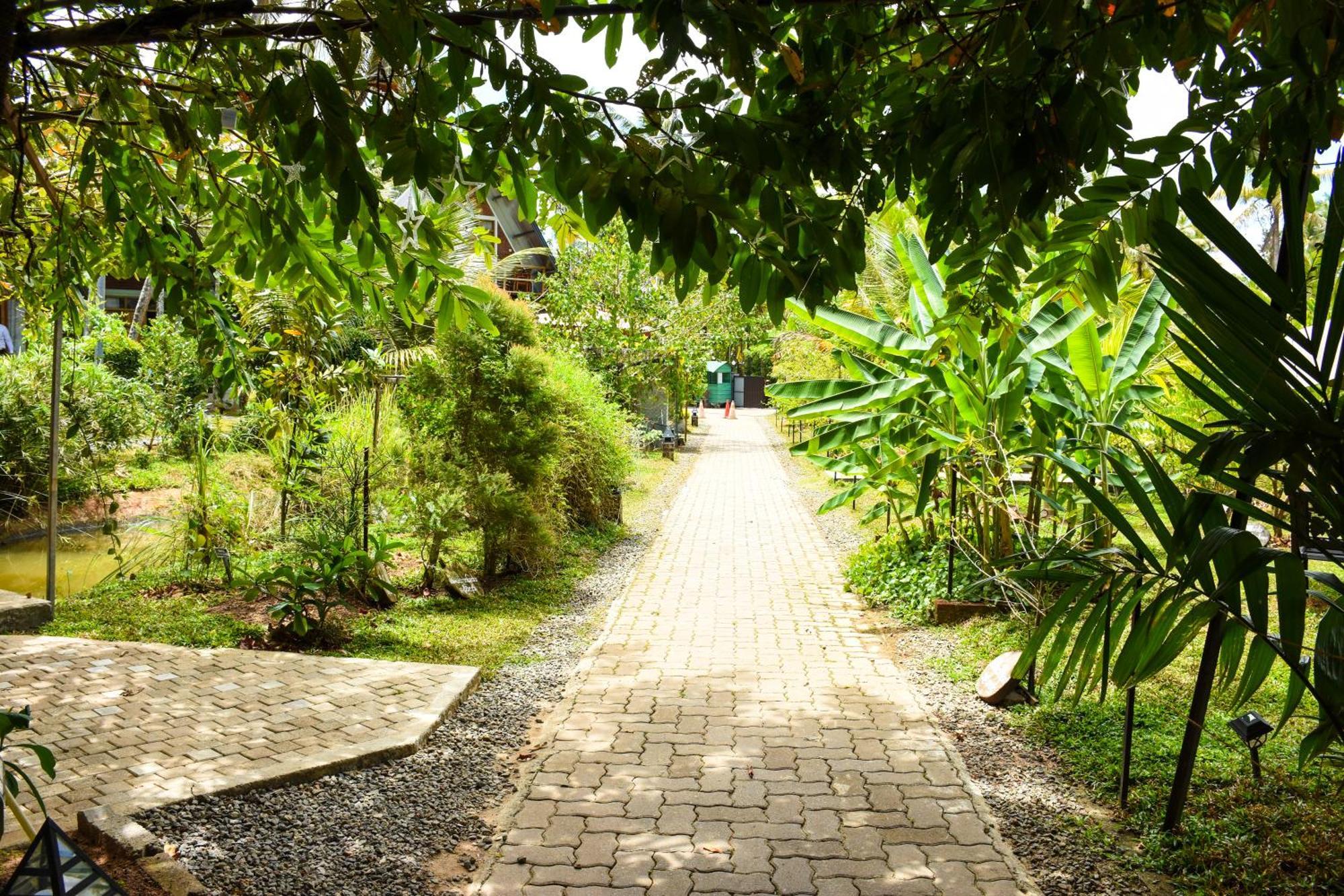Steps Garden Resort Negombo Eksteriør bilde