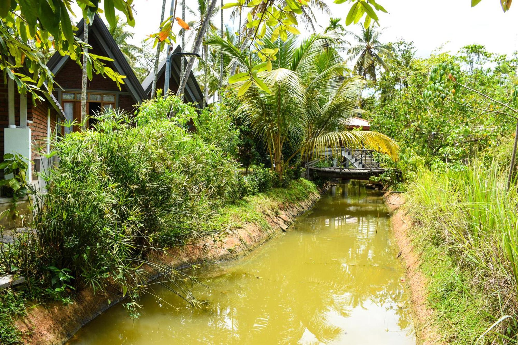 Steps Garden Resort Negombo Eksteriør bilde
